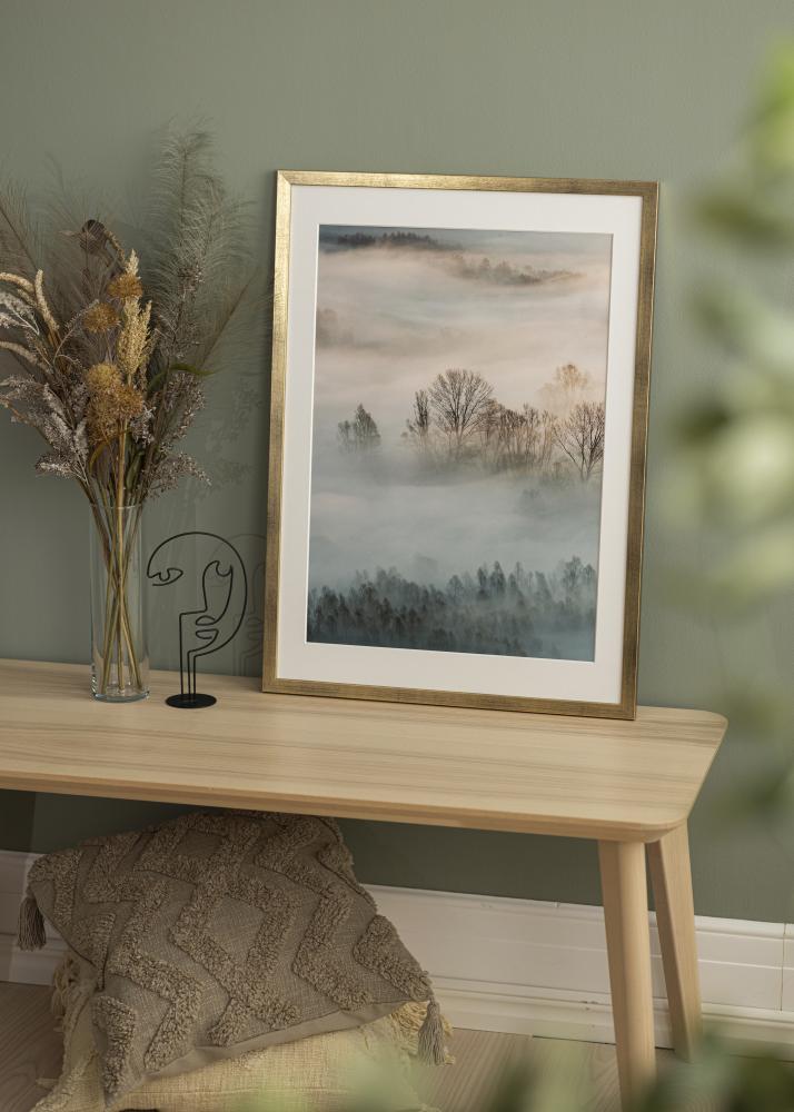 Rám Štýlová Akrylové sklo Zlatá 50x70 cm