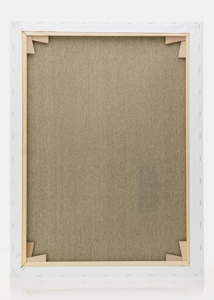 Maliarske plátno Prémium Biela 60x80 cm