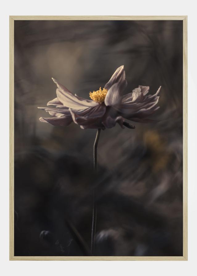 Japanese style Plagát