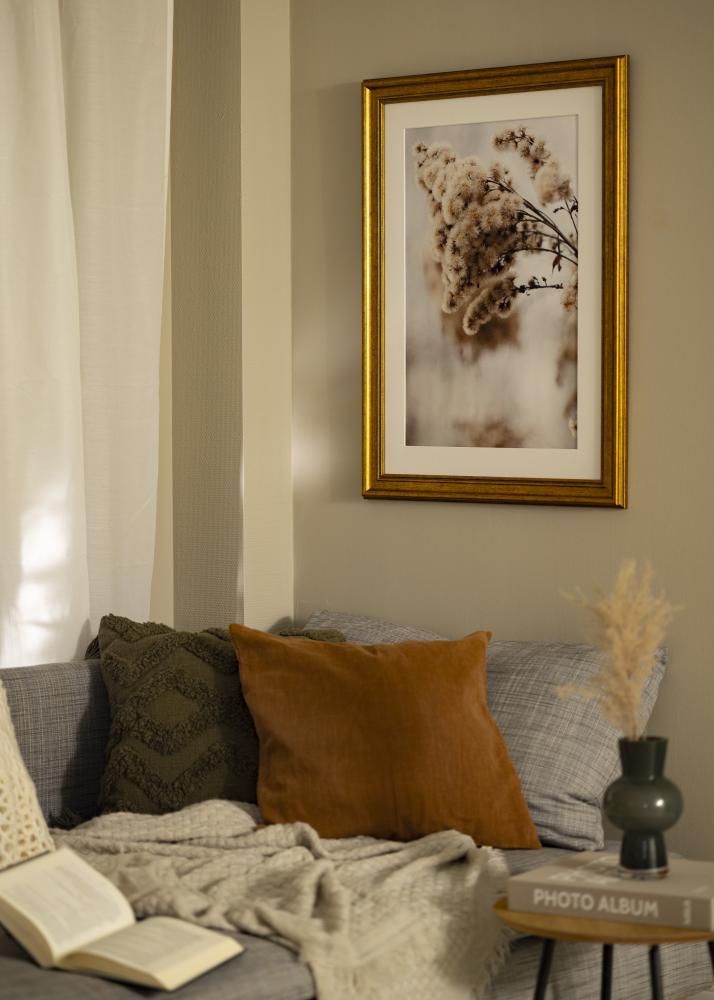 Rám Rokoko Akrylové sklo Zlatá 50x50 cm