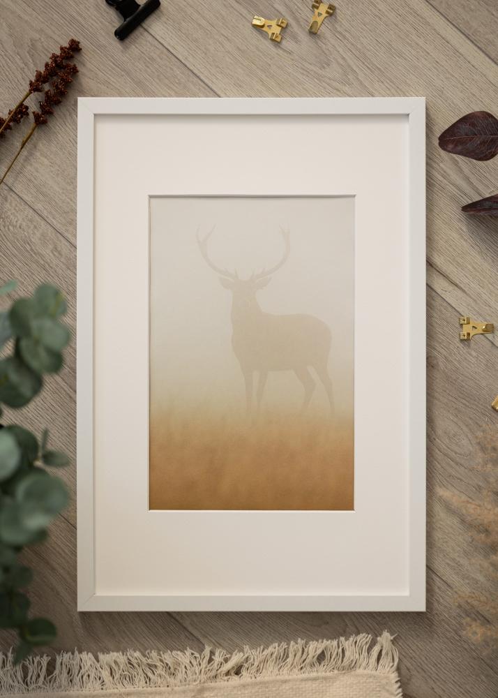 Rám Modern Akrylové sklo Biela 30x45 cm