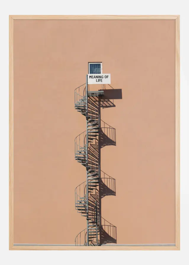 Meaning of life Plagát