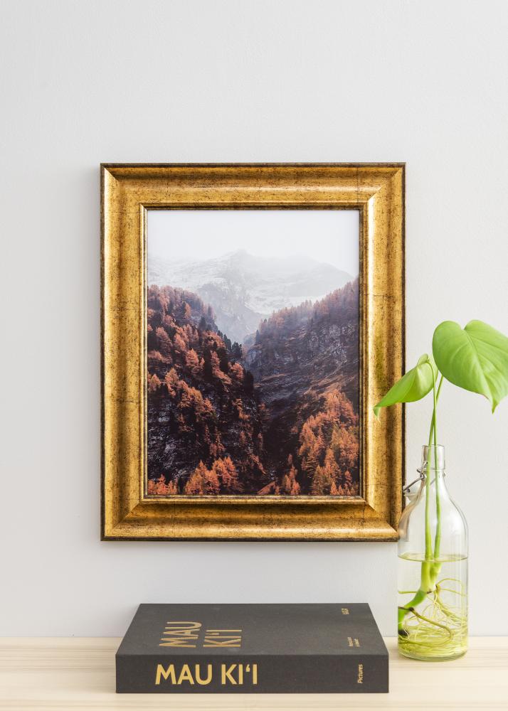 Rám Saltsjöbaden Akrylové sklo Zlatá 50x60 cm