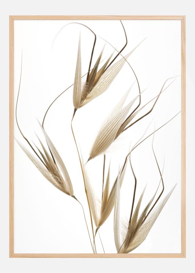 Delicacy of nature Plagát