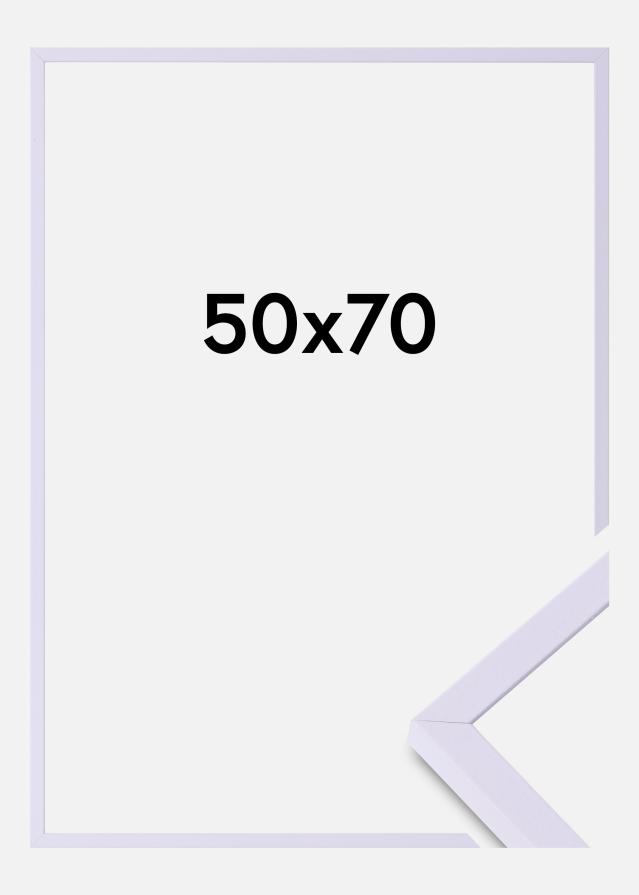 Colorful Akrylové sklo Fialová 50x70 cm