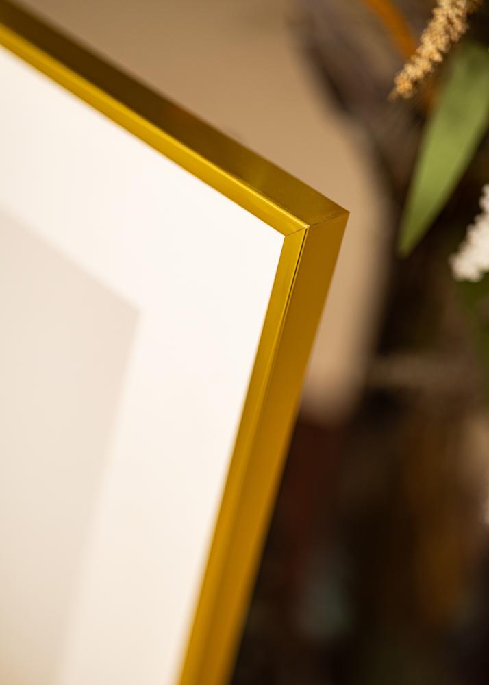 Hliníkový rám Akrylové sklo Zlatá 30x40 cm