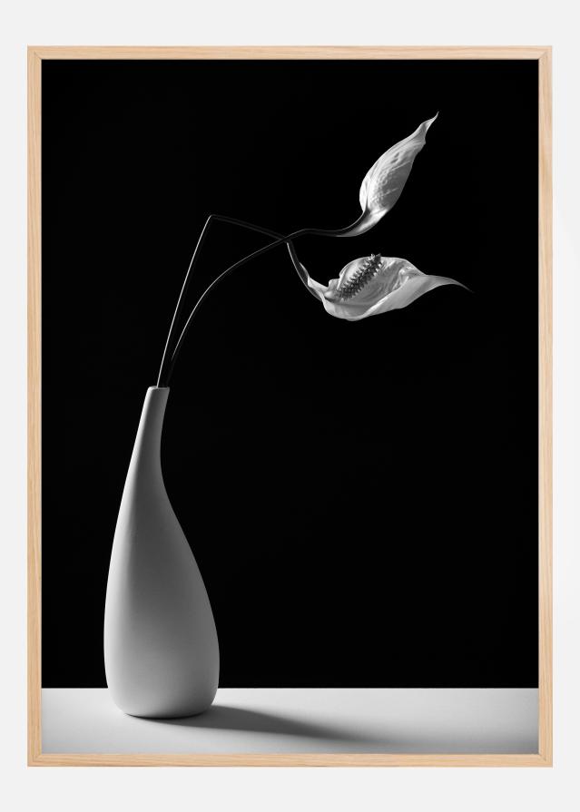 Passionately Plagát