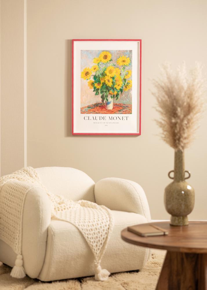 Rám Diana Akrylové sklo Cervená 45x60 cm