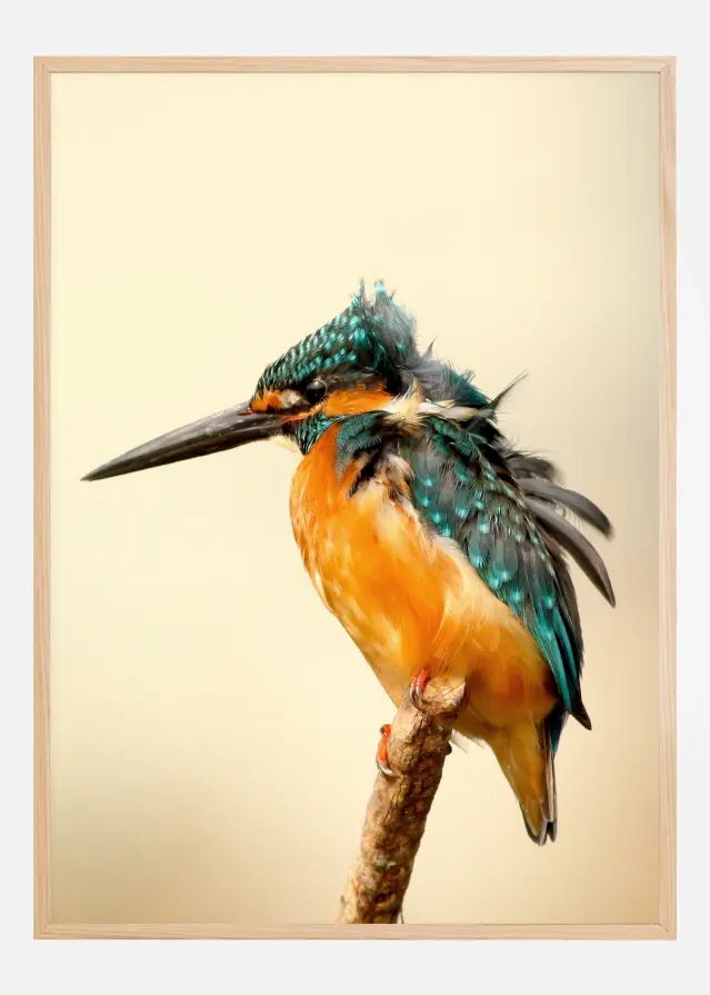 Bird On Tree Plagát