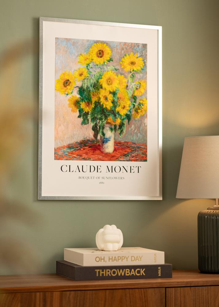 Rám Minerva Akrylové sklo Strieborná 20x25 cm