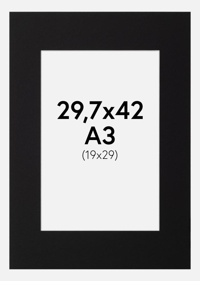 Pasparta Canson Cierna Biely stred 29,7x42 cm (19x29)