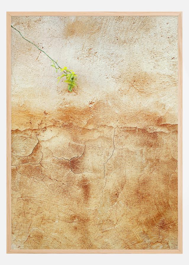 Cracked wall Plagát