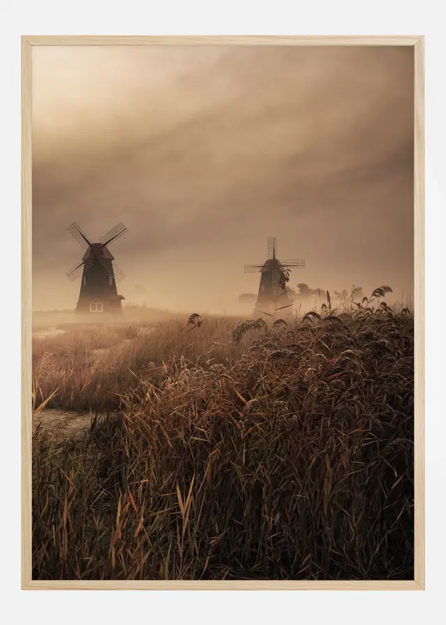 A Fascinating Morning Plagát