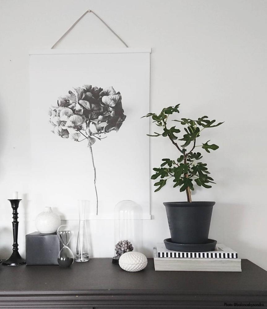 Plagátové lišty Biela - 50 cm