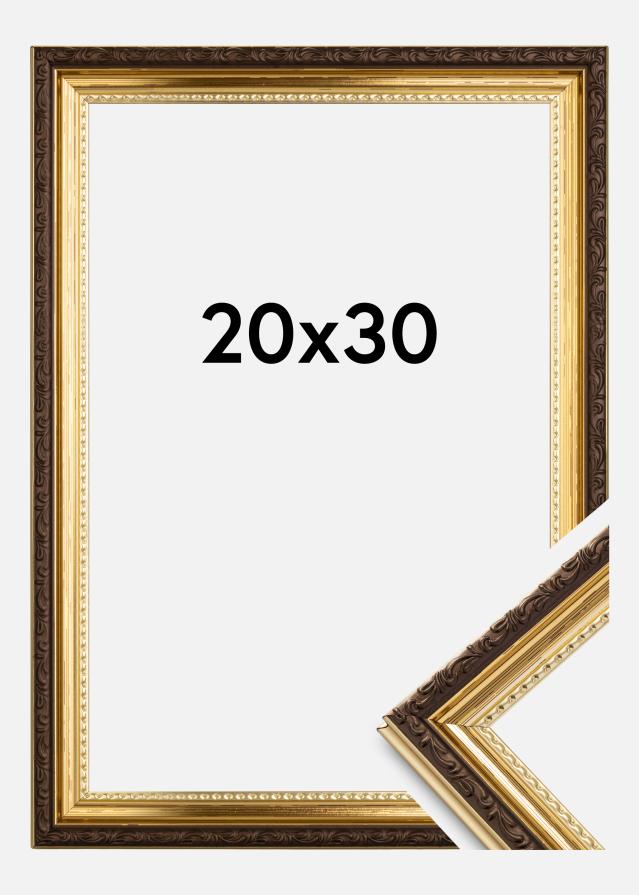 Rám Abisko Akrylové sklo Zlatá 20x30 cm