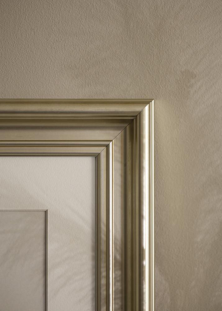 Rám Mora Prémium Strieborná 58x100 cm