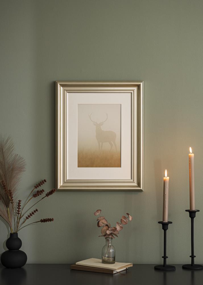 Rám Mora Prémium Strieborná 58x100 cm