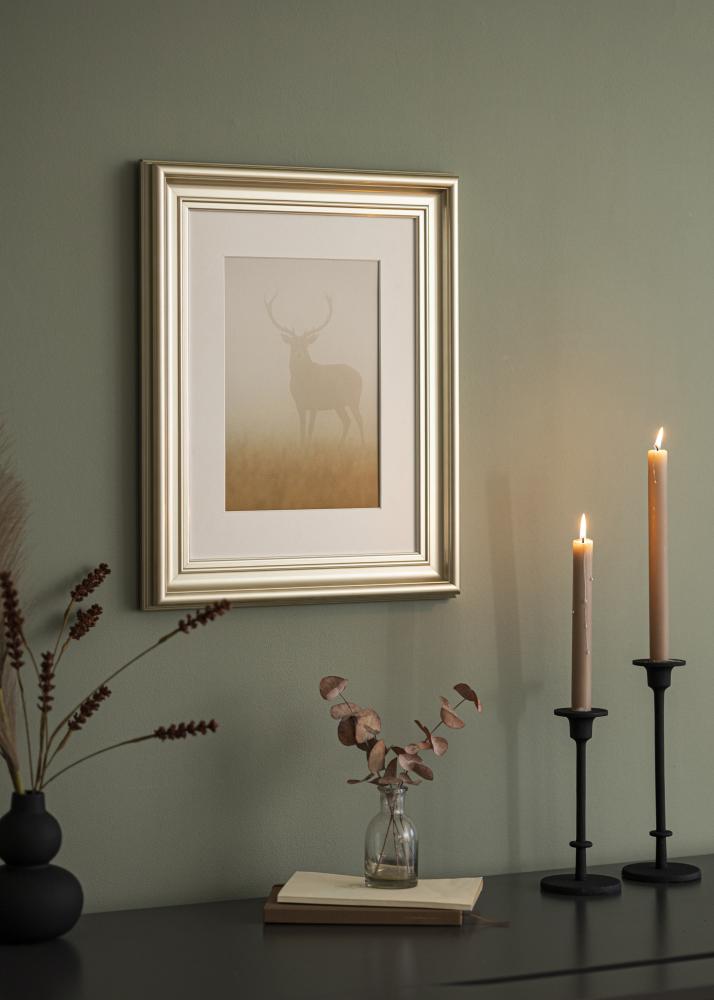 Rám Mora Prémium Strieborná 58x100 cm