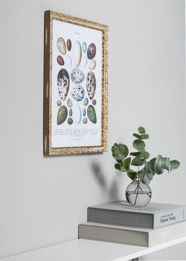 Rám Smith Zlato-Sivá 35x50 cm