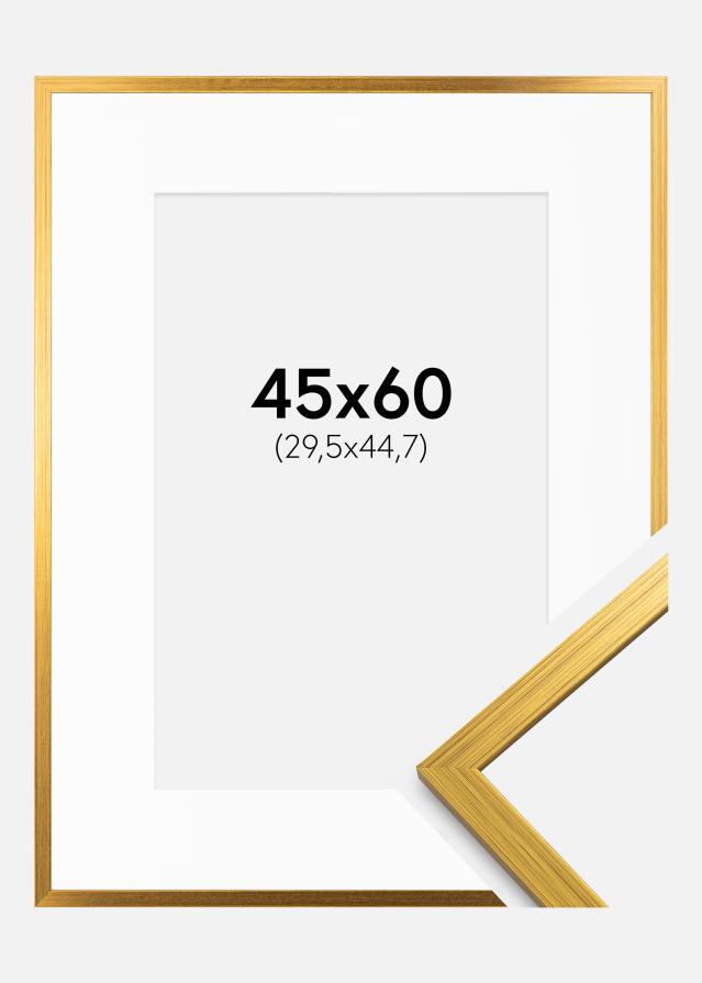 Rám Edsbyn Zlatá 45x60 cm - Pasparta Biela 12x18 inches