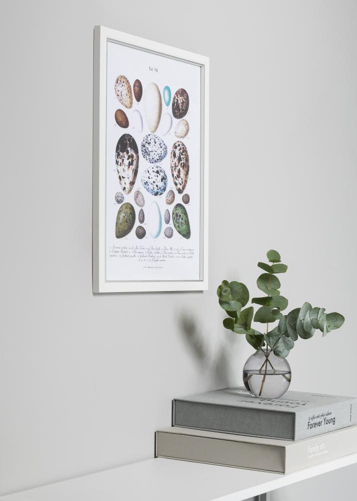 Rám Twist Biela 10x15 cm