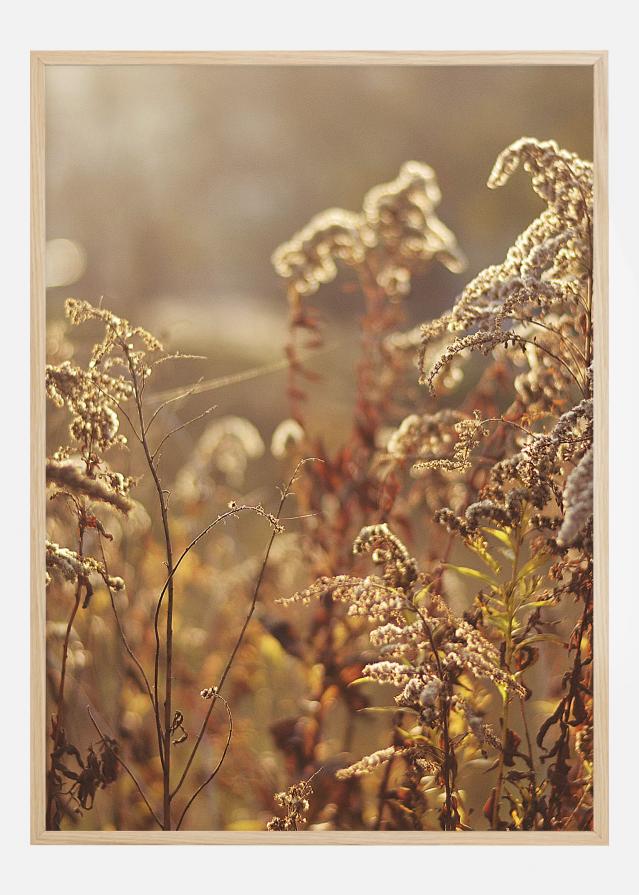 Summer Evening Plagát