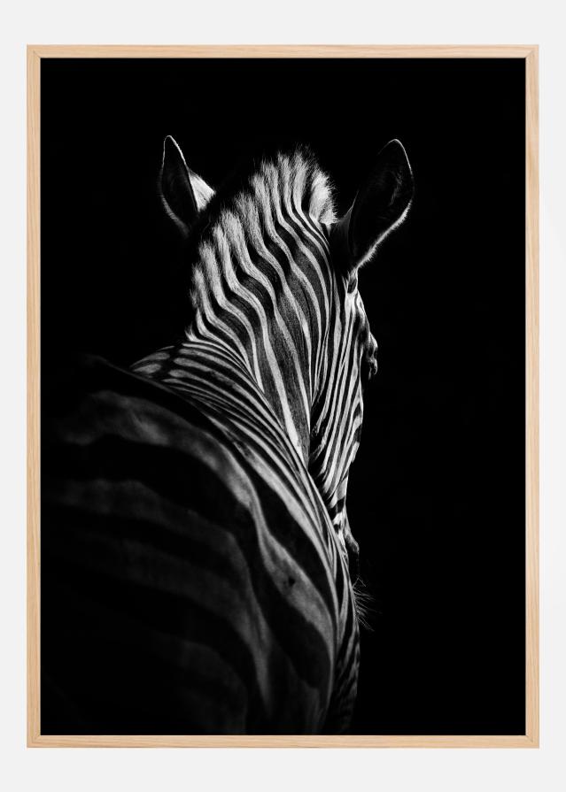 Stepping Down Plagát