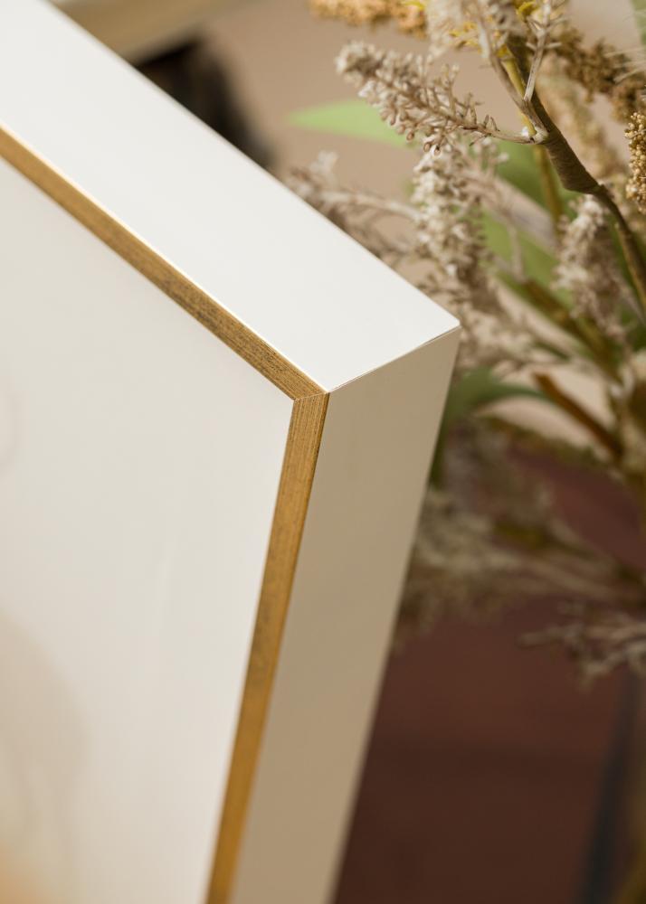 Rám Ra Rám pre obraz na plátne Biela/Zlatá - Lubovolný rozmer