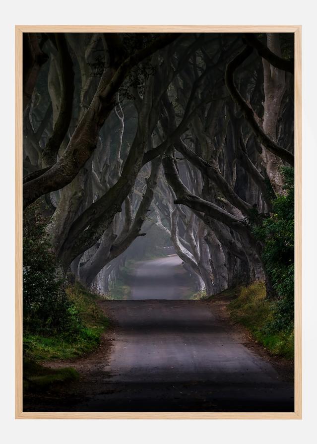 The Dark Hedges Magic road Plagát