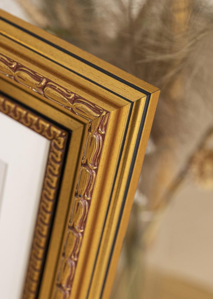 Rám Birka Prémium Zlatá 58x100 cm