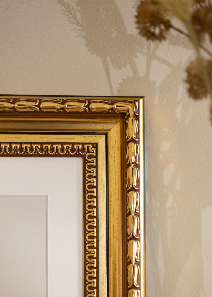 Rám Birka Prémium Zlatá 58x100 cm