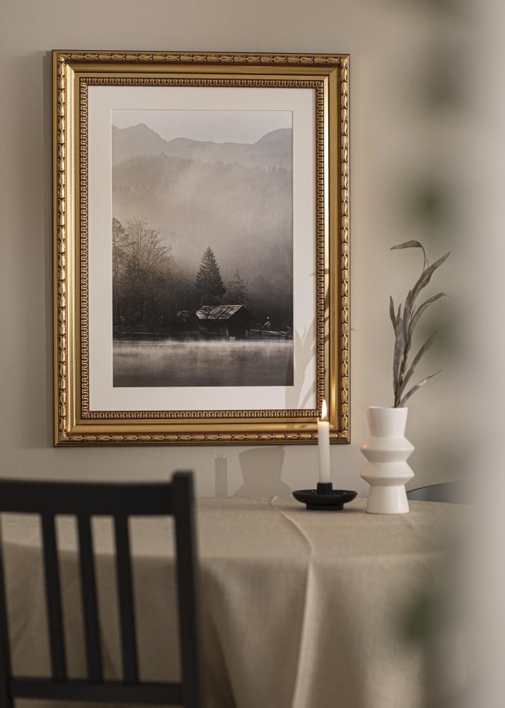 Rám Birka Prémium Zlatá 58x100 cm