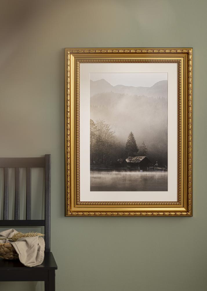 Rám Birka Prémium Zlatá 58x100 cm