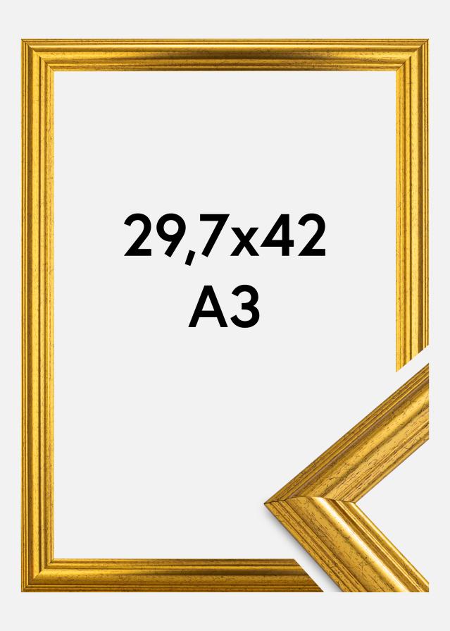 Rám Västkusten Zlatá 29,7x42 cm (A3)