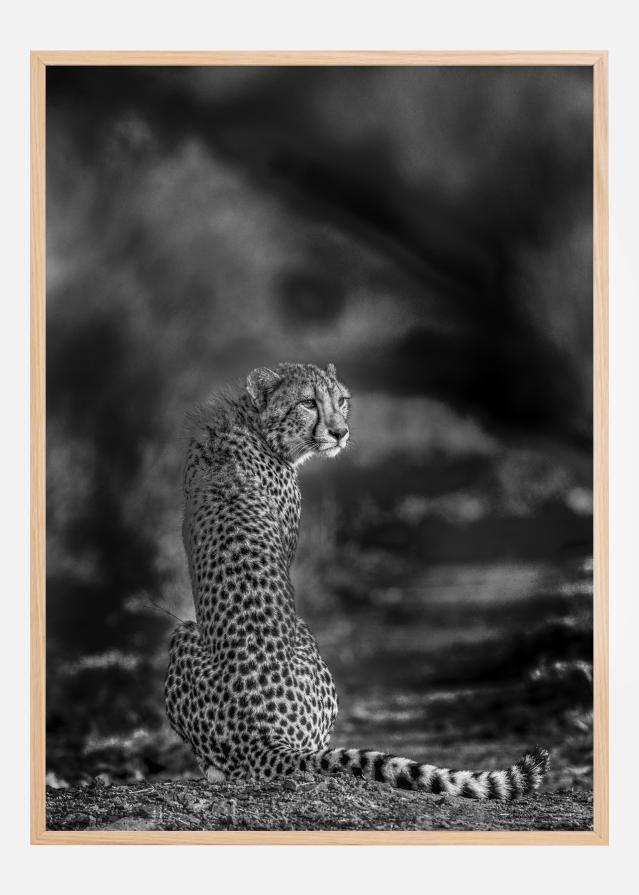 The look back Plagát