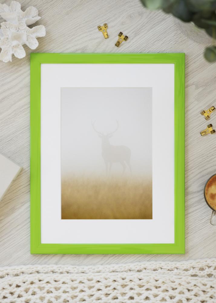 Rám Dorset Akrylové sklo Svetlozelený 40x40 cm