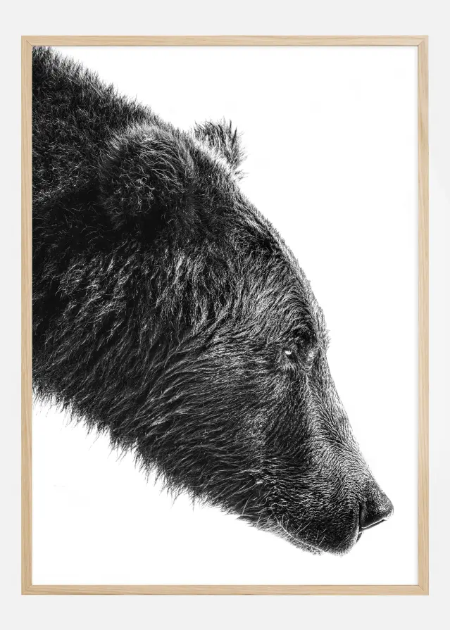 The Salmon Catcher Plagát