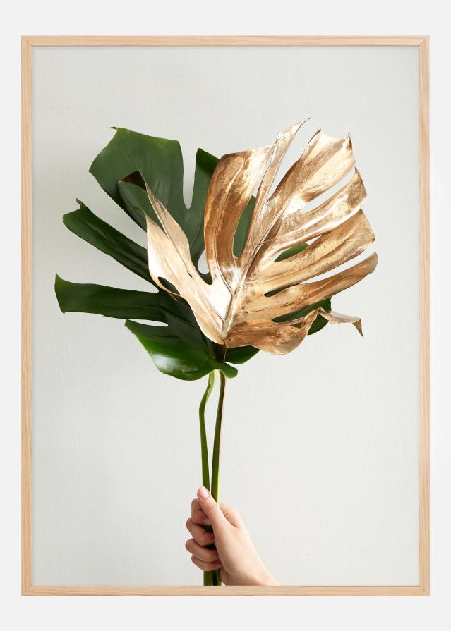 Golden monstera Plagát