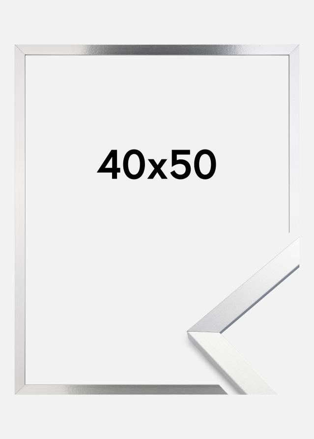 Rám Trendy Strieborná 40x50 cm