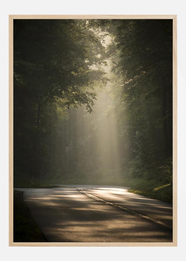 Sun Is Shining Plagát