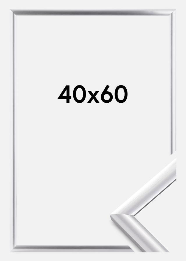 Rám Trendstyle Strieborná 40x60 cm