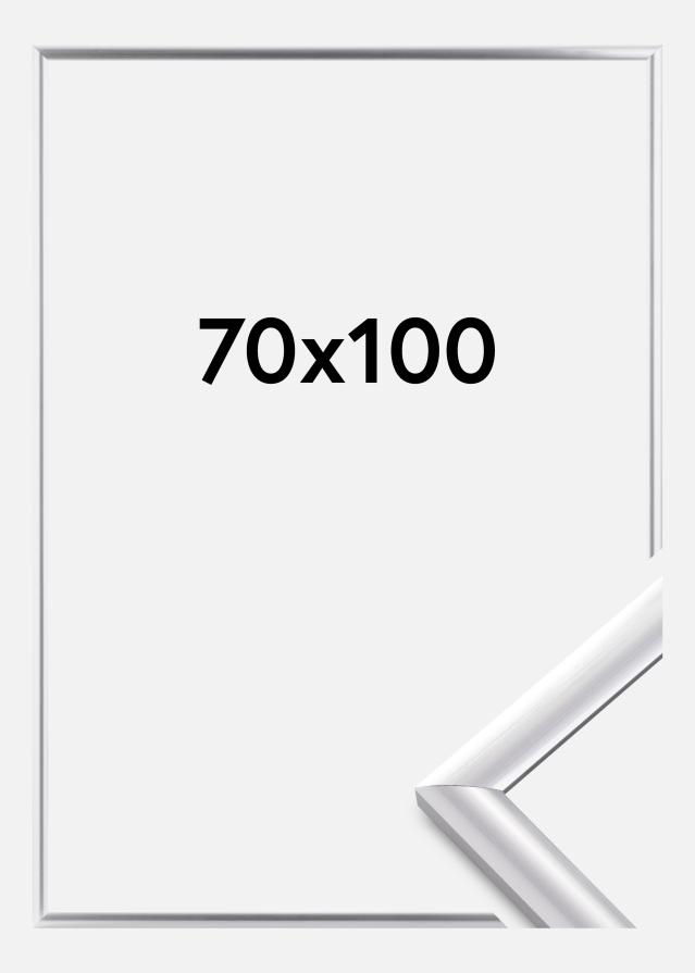 Rám Trendstyle Strieborná 70x100 cm