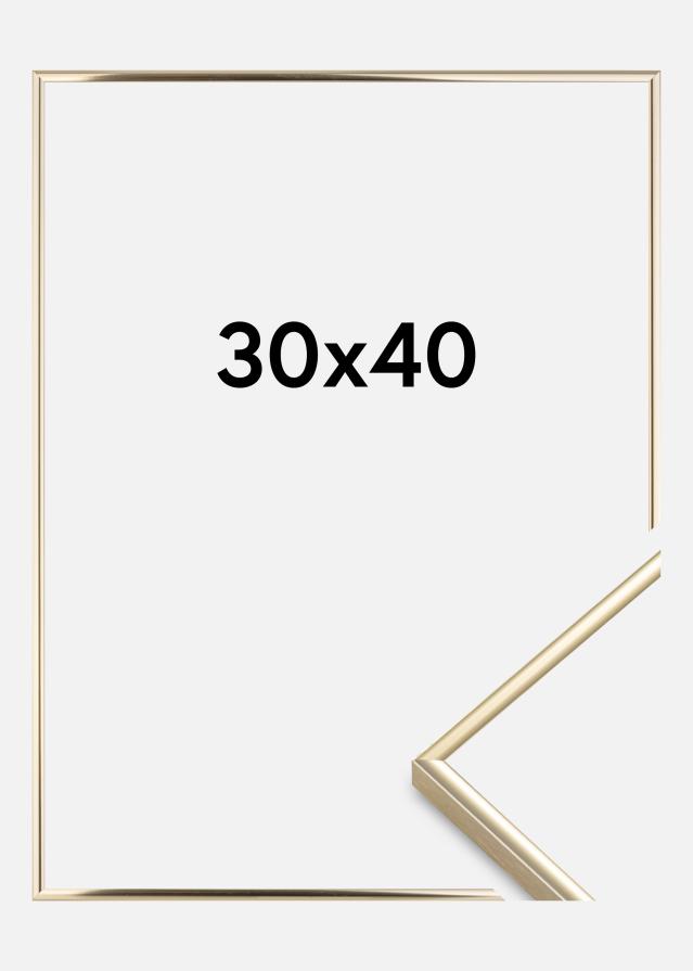 Rám Visby Akrylové sklo Zlatý lesklý 30x40 cm
