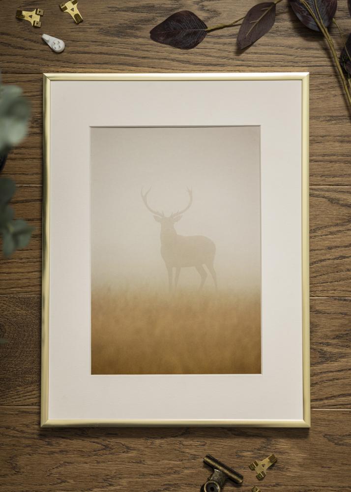Rám Plagát Frame Aluminum Gold 21x29,7 cm (A4)