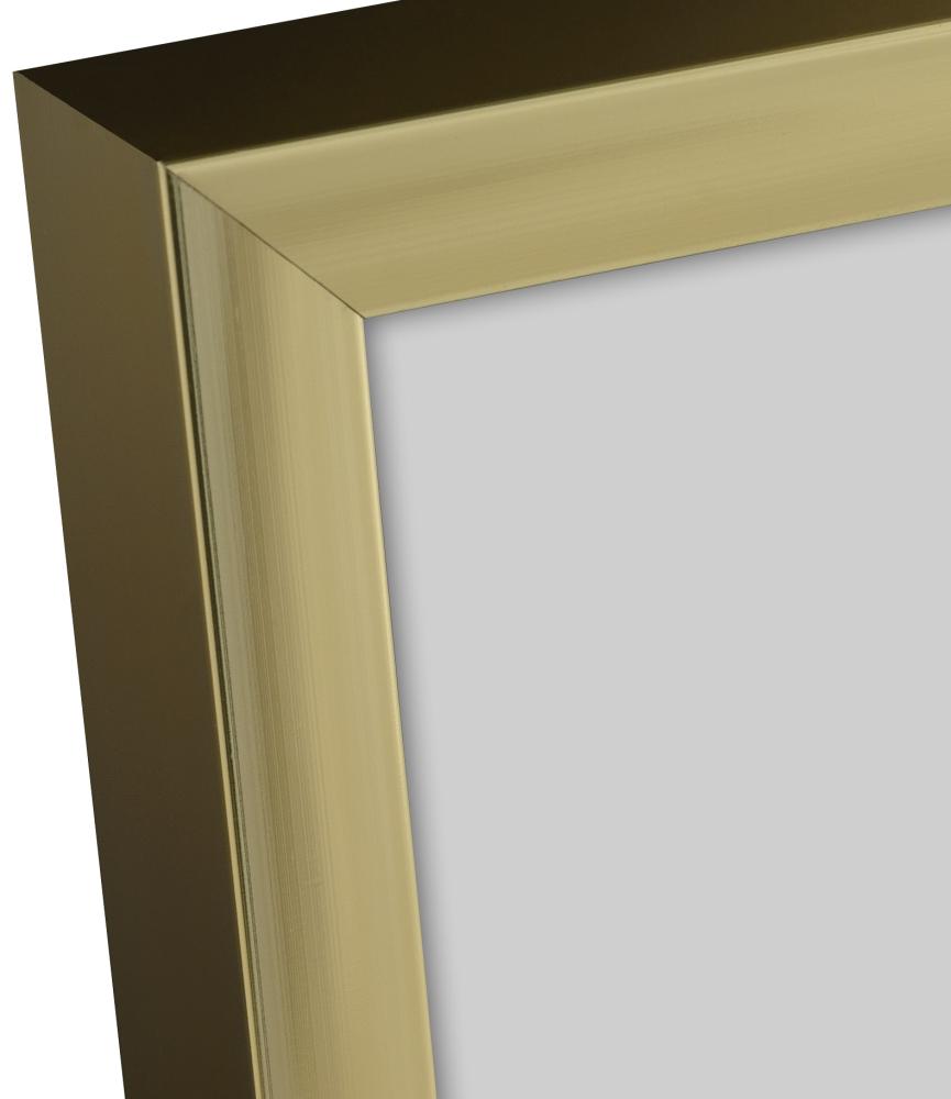 Rám Plagát Frame Aluminum Gold 70x100 cm - Pasparta Cierna 59,4x84 cm (A1)