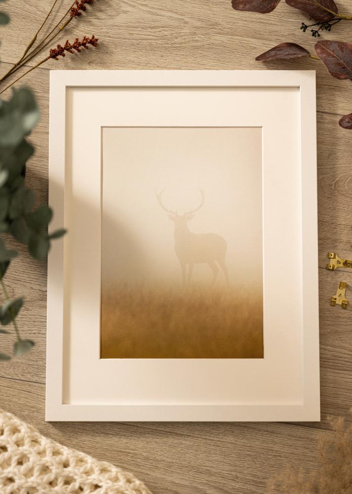 Rám Deco Akrylové sklo Biela 60x80 cm