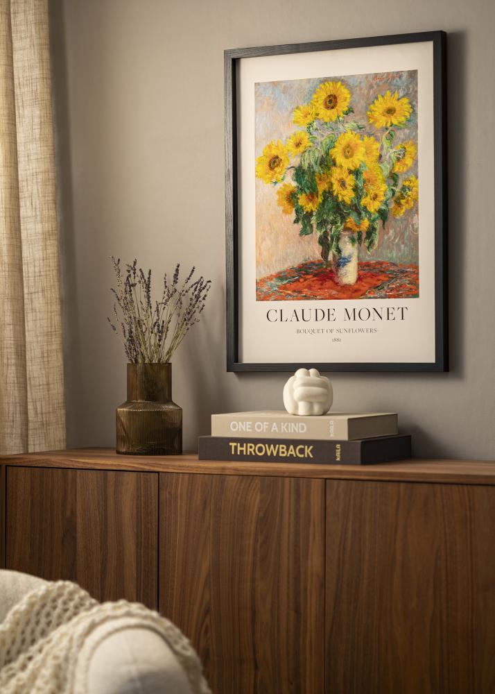 BGA Box rám Akrylové sklo Cierna 50x100 cm