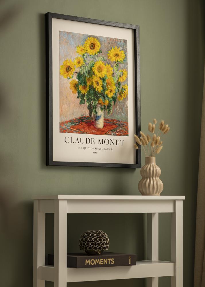 BGA Box rám Akrylové sklo Cierna 50x100 cm