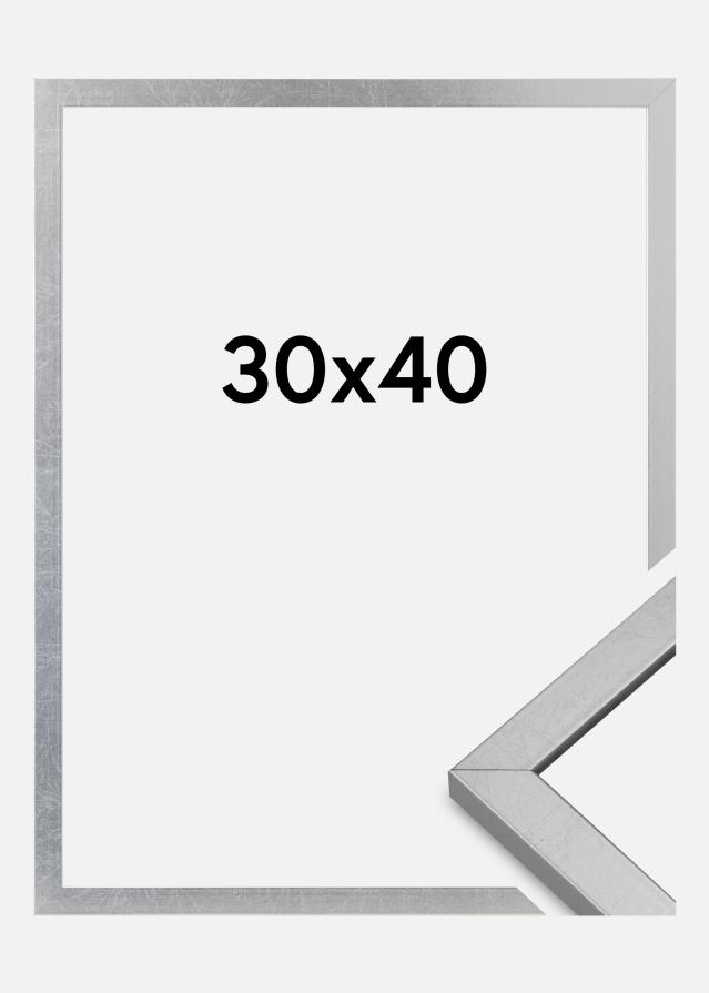 Rám Minerva Akrylové sklo Strieborná 30x40 cm