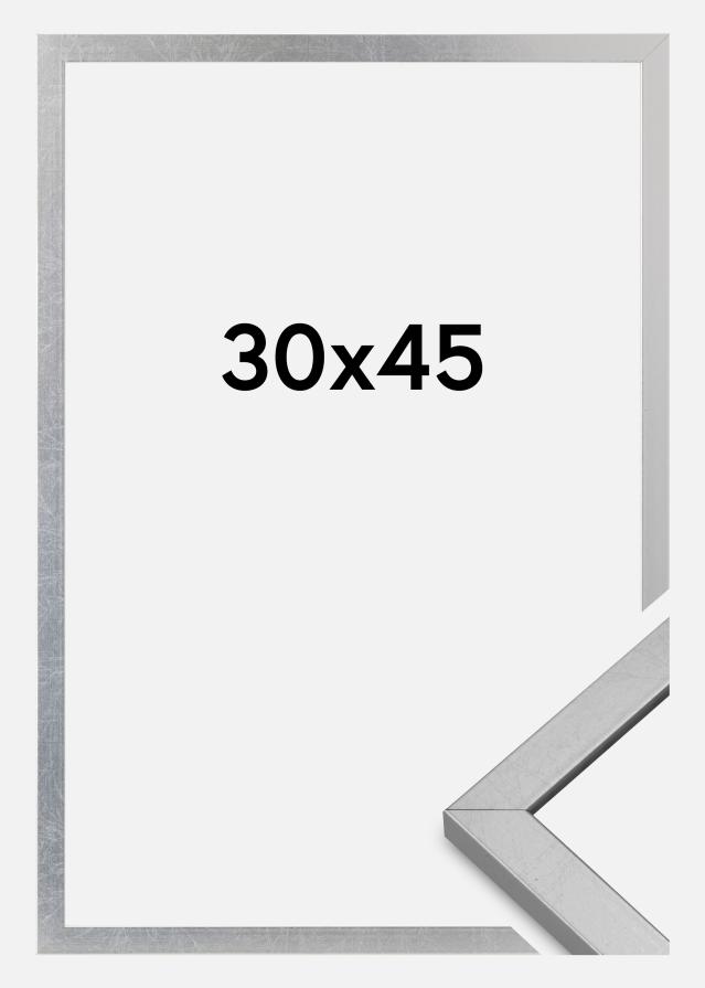 Rám Minerva Akrylové sklo Strieborná 30x45 cm